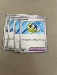 イトケのみ　４枚