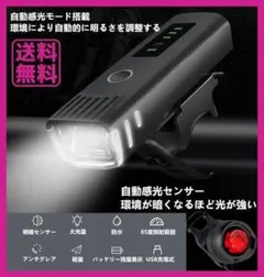 Item thumbnail for item 146c826f-d1cd-481e-b739-400cd7f728c3