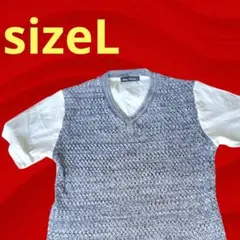 ✨週末セール17日まで✨ スコーネコレクション　Tシャツ L