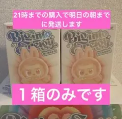 【正規品・未開封】Labubu Big into Energy 1箱