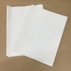 三河衿芯 広衿用 2枚セット