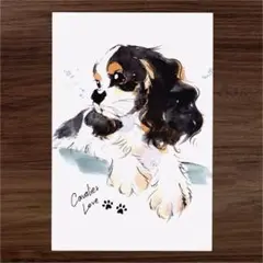 イラスト 原画 ポストカード 絵 【キャバリア】49