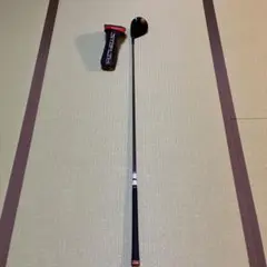 Item thumbnail for item 21f54a45-2441-4615-afc5-1ec673b274fc