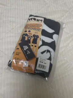 Item thumbnail for item 513d5fa3-83ee-401f-8d42-198ae5db034b