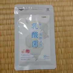 シードコムス乳酸菌1ヶ月分