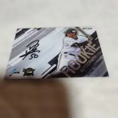 Item thumbnail for item 186f0e57-24a6-4a5e-897b-f023b853f58e