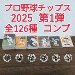 プロ野球チップス 2025 第1弾 全126種 コンプリート