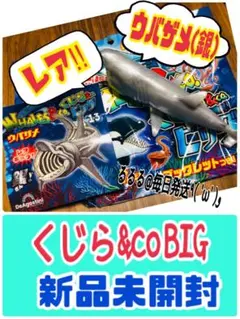 新品未開封★トイザらス版 13番ウバザメ(銀) ホエール くじらアンドコ　デアゴ