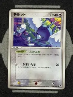 【10点2500円引き】チルット