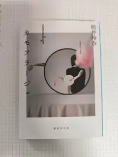 カモフラージュ 松井玲奈