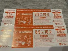 2025年 全日本スーパーフォーミュラ選手権 第8戦招待券 1枚 バラ売り