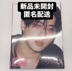 チャンビン straykids KARMA accordion アルバム 1枚