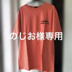 AVIREX Tシャツ