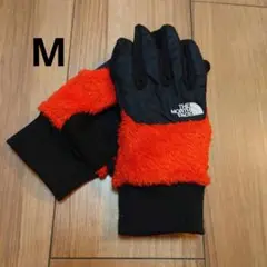 Item thumbnail for item 584c3a27-5a75-49f5-8b7a-a92054f4a6c5