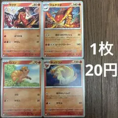 ヤクデ、マルヤクデ在庫2ロコン在庫6キュウコン在庫4