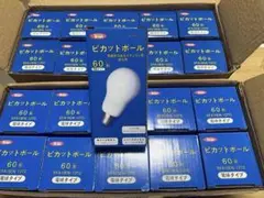 ピカットボール 60W E26口金　20個！！