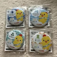 環境省　アヒル隊長缶バッジ