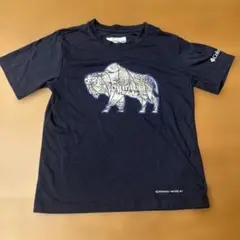 Columbia クマデザイン Tシャツ ネイビー