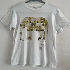 ゾウ デザインTシャツ 160cm