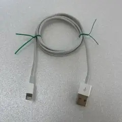 【動作確認済】★Apple純正品★Lightning - USBケーブル