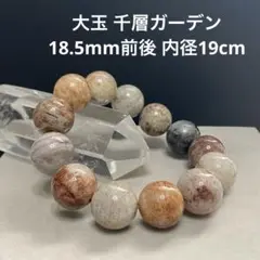値下げ‼️Ｄ969 大玉 千層ガーデン 18.5mm前後 内径19cm