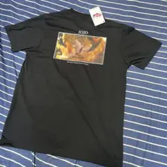 ジョジョの奇妙な冒険　スターダストクルセイダース　ディオ　Tシャツ