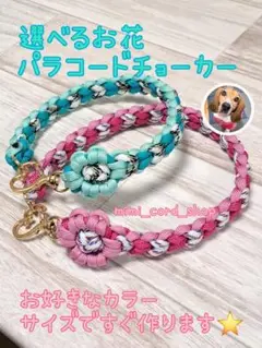 Item thumbnail for item f12cd928-30a8-4e25-beda-8e9c72245b0e