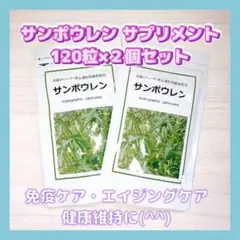サンポウレン サプリメント 120粒×2個セット 奇跡のハーブ サプリ 免疫ケア