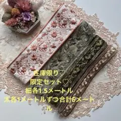超お買得在庫限りインド刺繍リボン合計5メートル