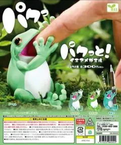 パクっと！イエアメガエル フィギュア（グリーン・ブルー）２体セット