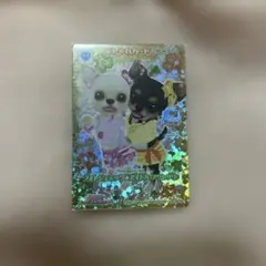 ワンタメ　フォトジェニックアイドル（アクセサリ）