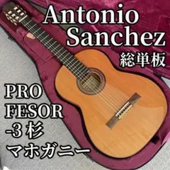 アントニオ・サンチェス ANTONIO SANCHEZ S-20 フラメンコ 2025年最新】antonio sanchez アントニオサンチェスの人気