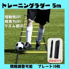 トレーニングラダー 5m
