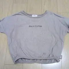 ベージュ クロップド丈 Tシャツ Black Coffee