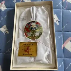 Item thumbnail for item c9ed64b9-a32e-41e2-ab97-0181a7b7d19e