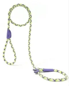 Item thumbnail for item 2ecdc903-8e10-468a-a207-bef1252d0d5c