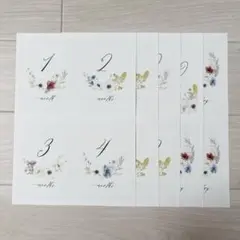 【匿名配送】月齢カード 花柄 ニューボーンフォト ベビー マンスリーカード