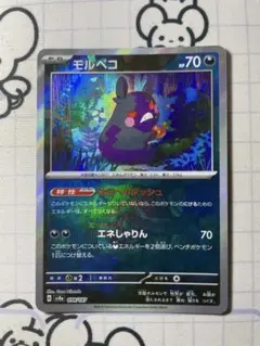 【マスボ】モルペコ　はらへりダッシュ　マスターボールミラー　テラスタルフェス　A