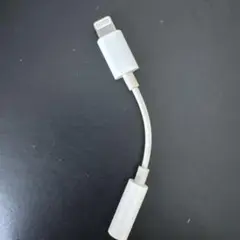Lightningコネクタ ホワイト 約8cm