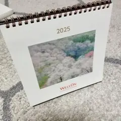 野地美樹子 「さくらさく」28／100 絵画 風景画 日本画 額装 アーカイバル 野地美樹子 「さくらさく」28／100 絵画 風景画 日本画 額装