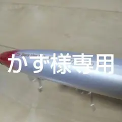 ショアラインシャイナーZ バーティスSD140 スローフローティング