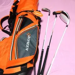 Item thumbnail for item 6f5c43ef-bfa6-4eed-b7d3-edcb6cbac00f