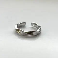 ファッションリング フリーサイズ シルバー シンプル 指輪 01