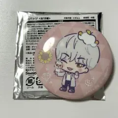 SEVENTEEN サンリオ ドンキ コラボ 缶バッジ ホシ