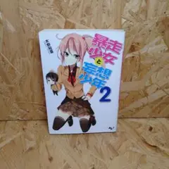 暴走少女と妄想少年 2