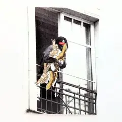SUPREME ANTIHERO BALCONY STICKER