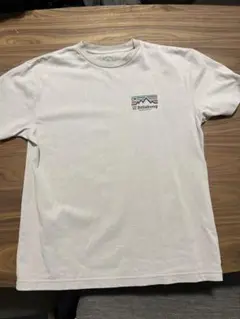 Billabong Adventure Division Tシャツ