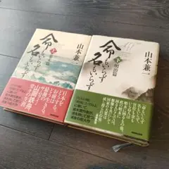 命もいらず名もいらず 上(幕末篇)・下(明治篇)