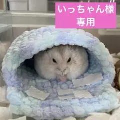 いっちゃん様専用です