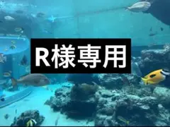 【即日発送】コインネックレス ゴールド